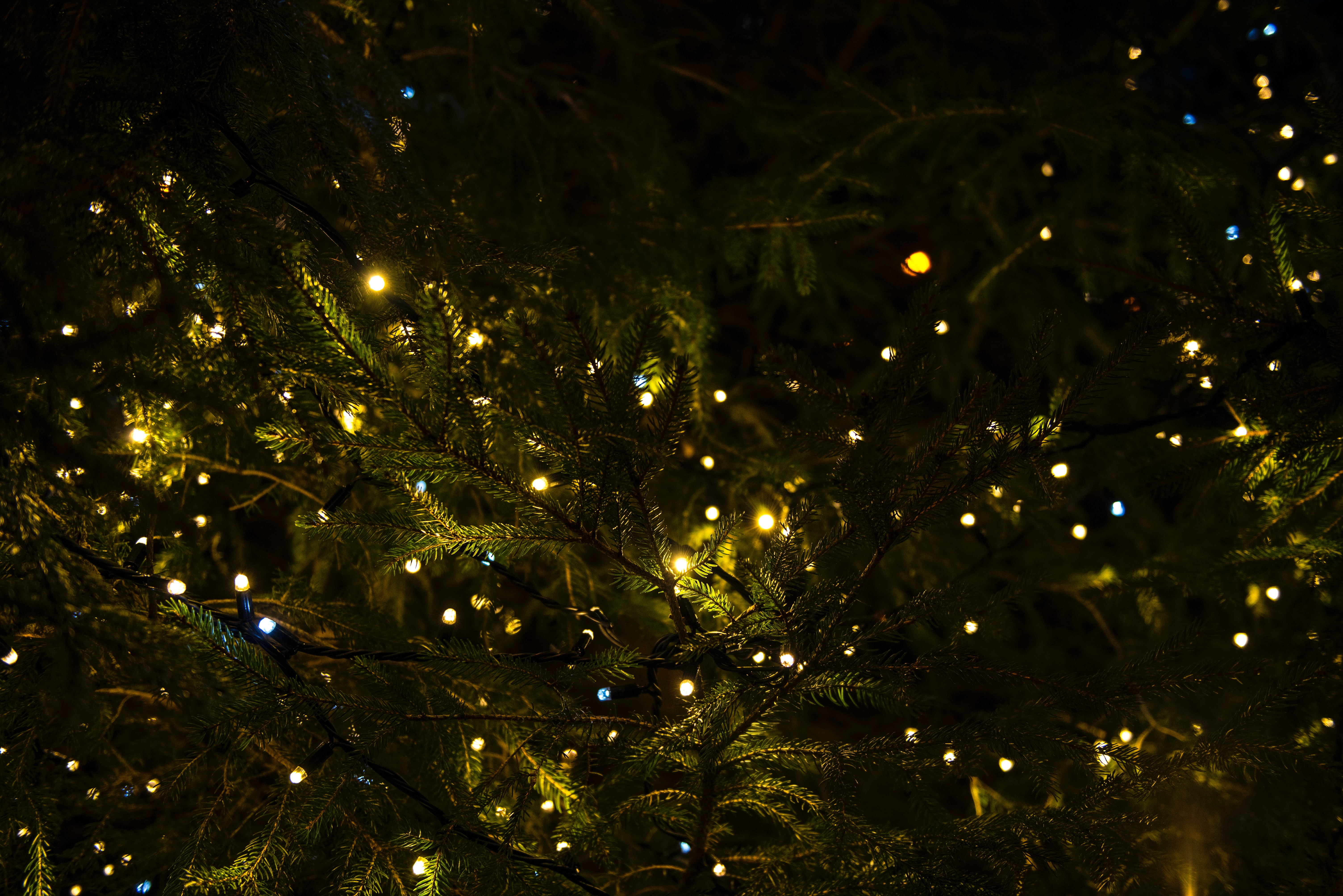 Det er snart tid til julelyskæder